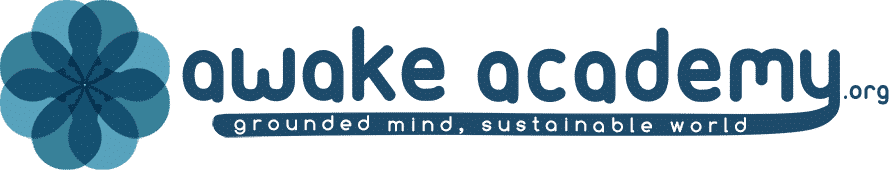 Awake Academy logo